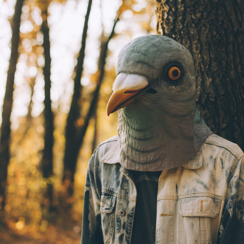 How B2B marketers can get heard on Twitter in 2020
