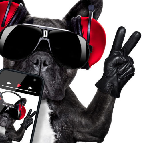 CMOs Need to Dance to their Own Tune
