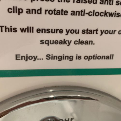 Singing is Optional – Defining a Brand Personality